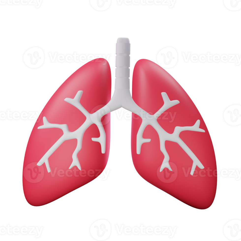 pulmões médico 3d ícone png