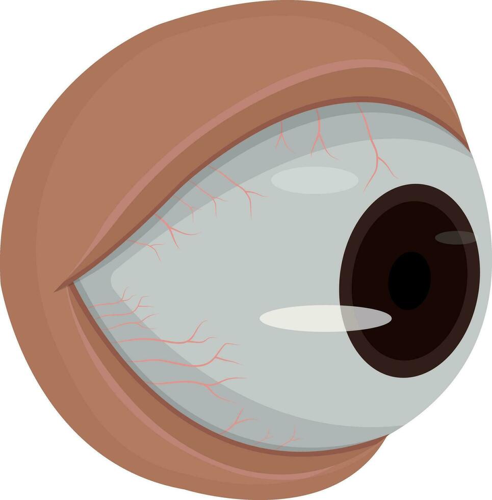 ojo humano aislado sobre fondo blanco vector