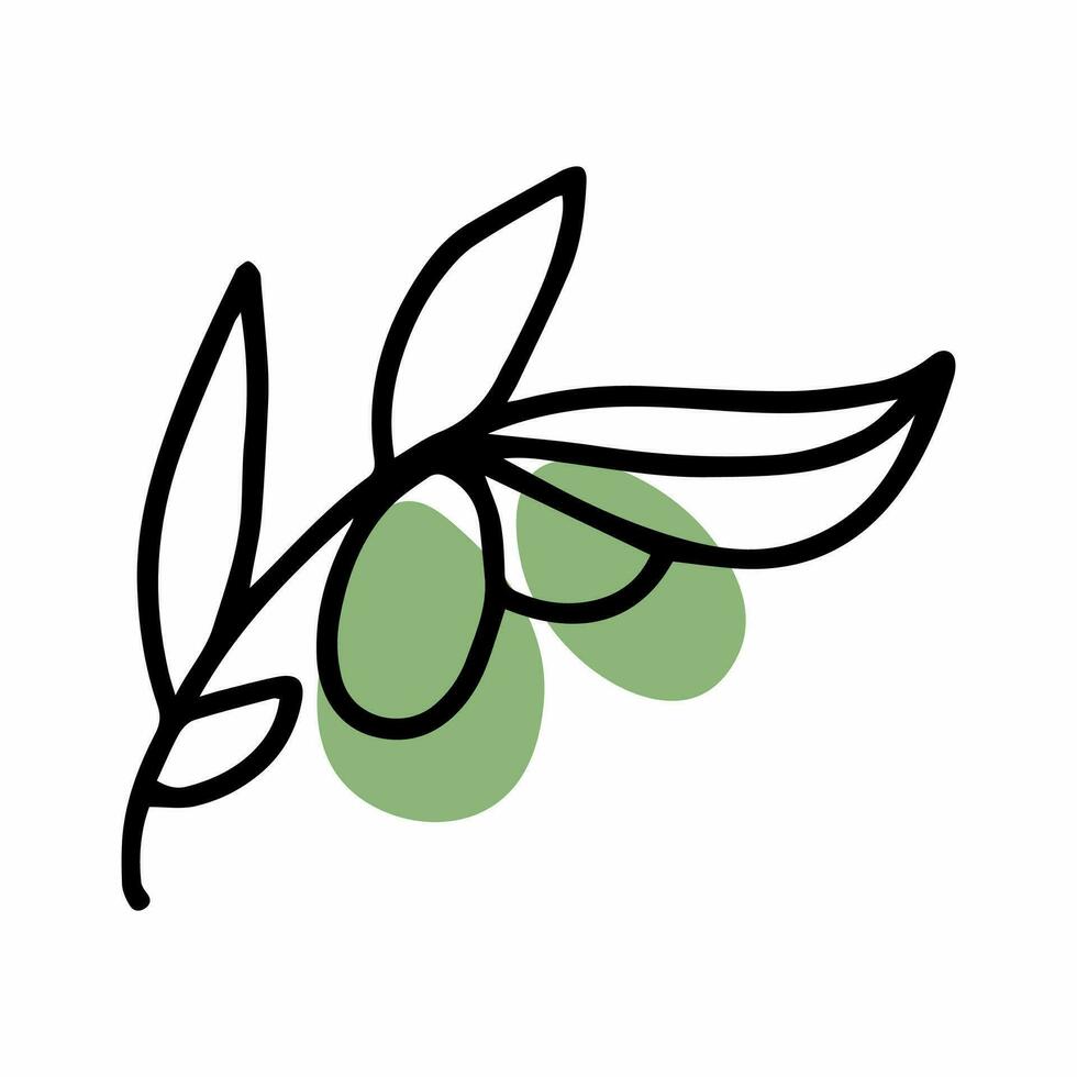 Doodle olive branch. Olives and black olives for Hanukkah vector