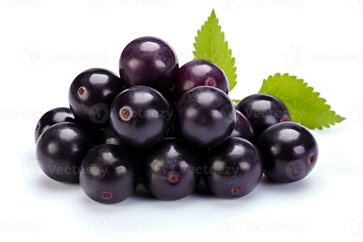 Black currant berries with green leaves isolated on white background AI Generated photo