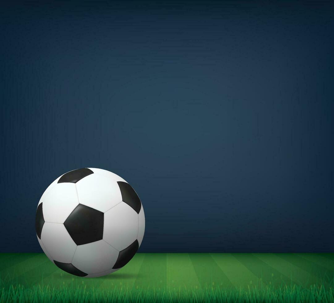 Soccer Ball Grass Background vector