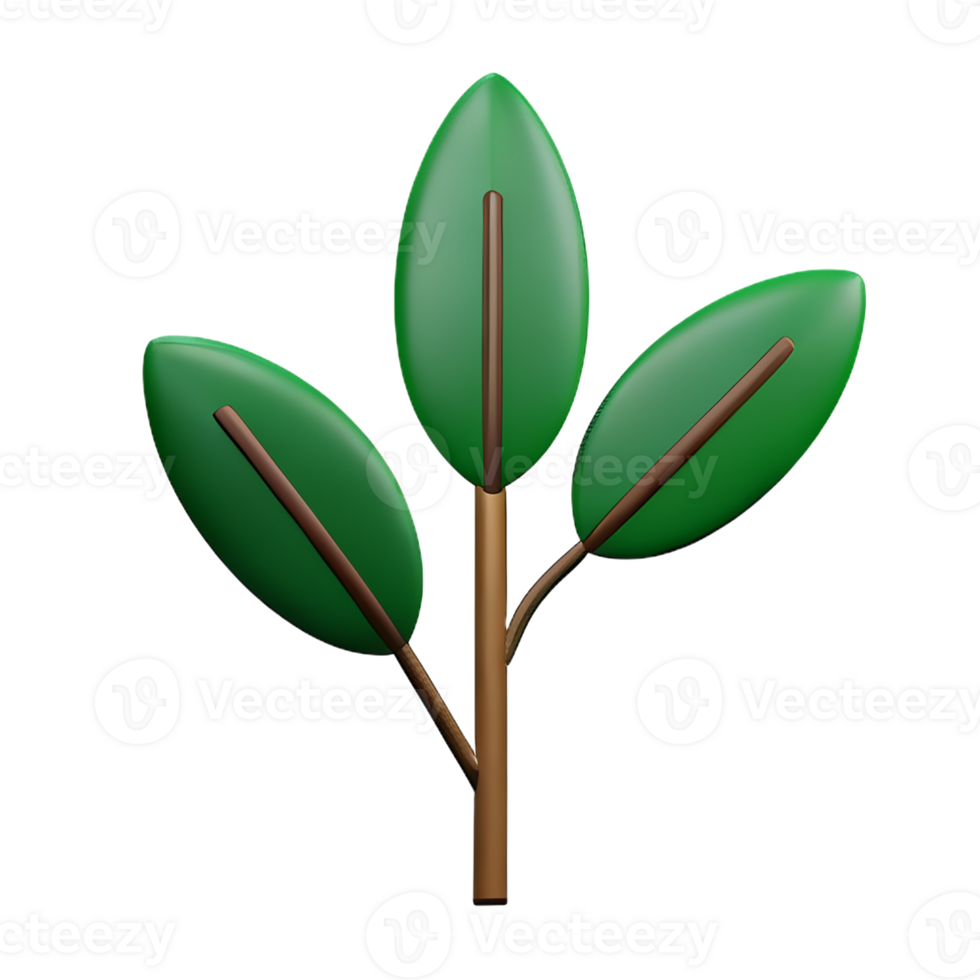 eucalyptus leaves 3d rendering icon illustration png