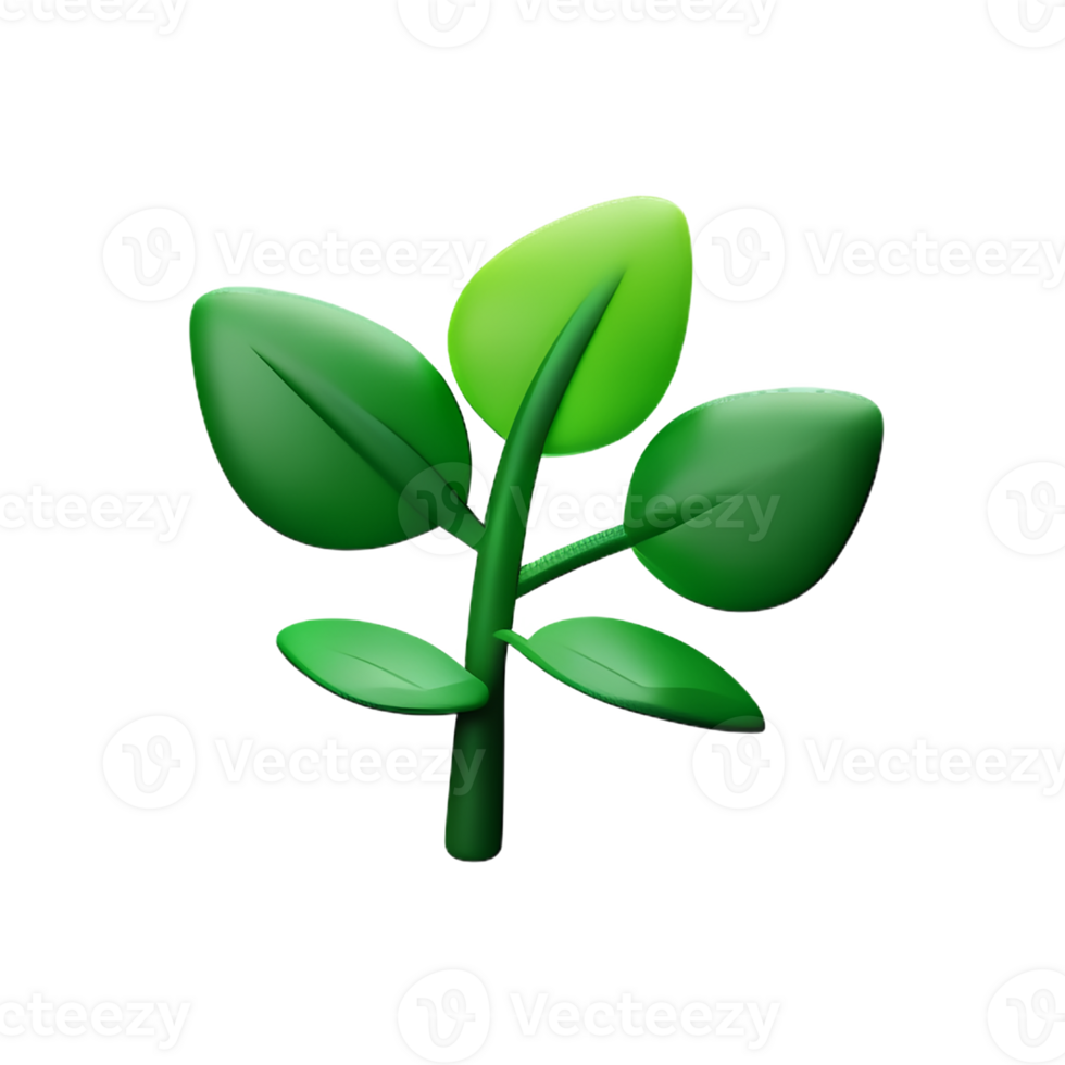 botanical 3d rendering icon illustration png