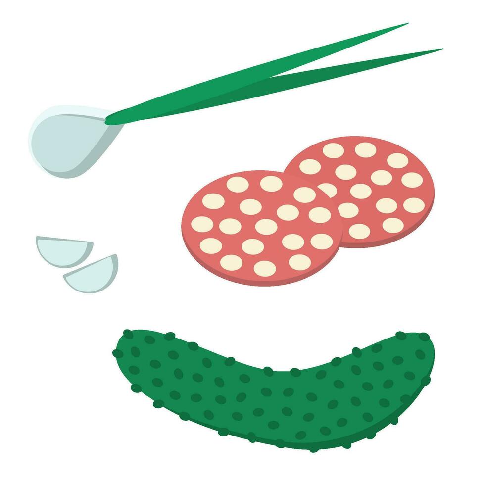 Food set. Vector illustration of sausage slices, cucumber, garlic and onion. Drawing of fresh vegetable, greenery and food for snack.