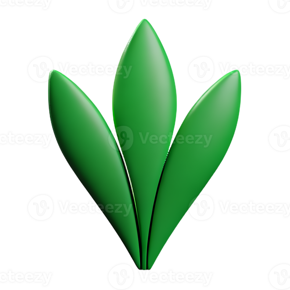 botanical 3d rendering icon illustration png