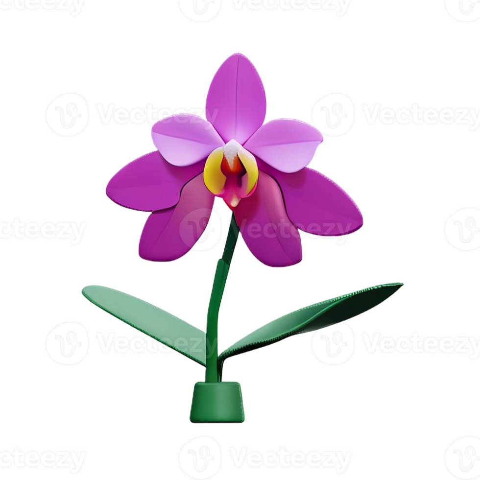 orchid 3d rendering icon illustration png