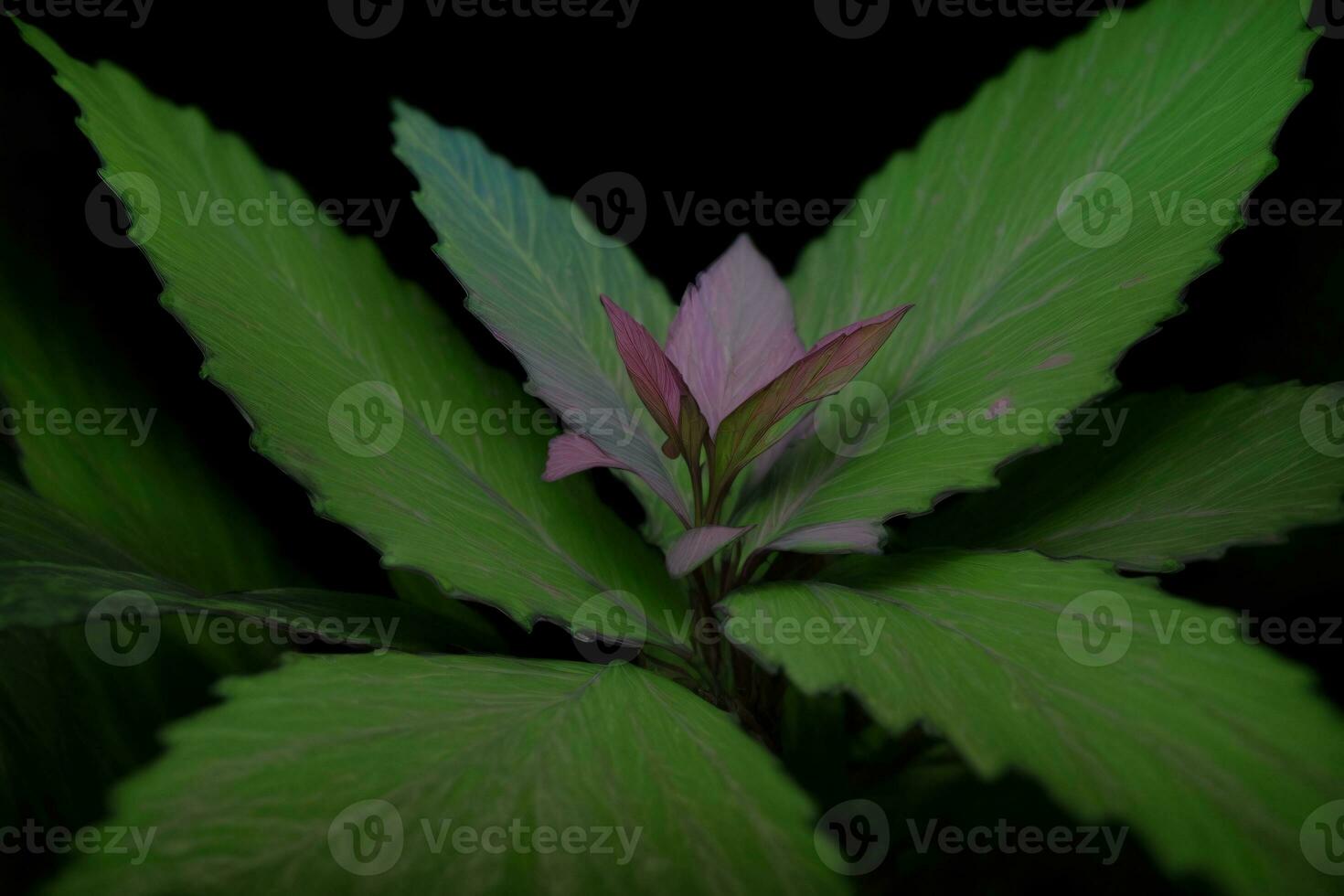 un rosado flor con verde hojas en un negro antecedentes. ai generado foto