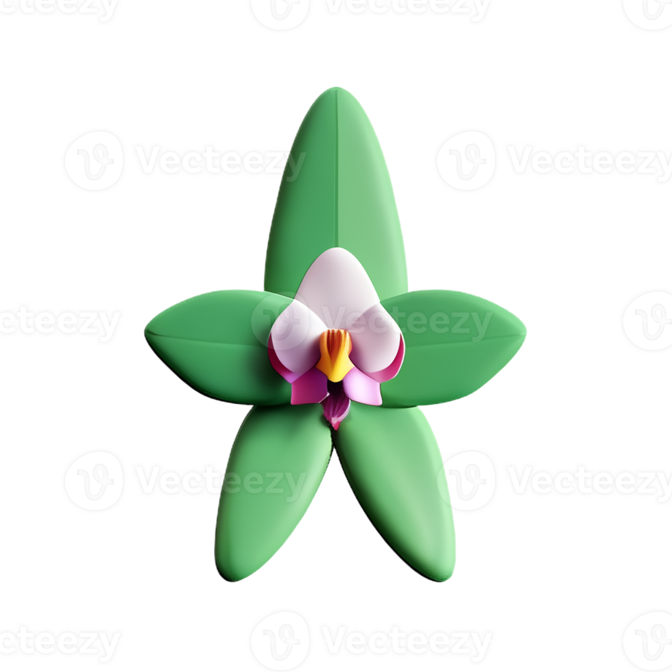 orchid 3d rendering icon illustration png