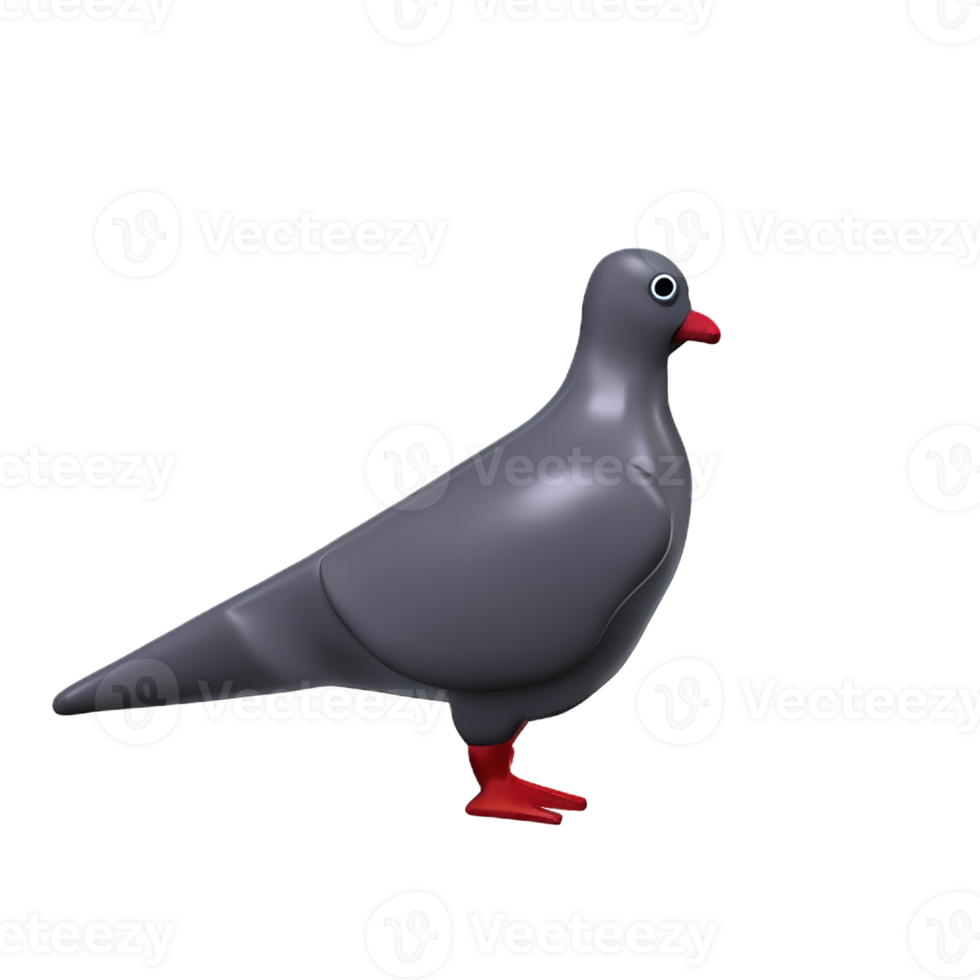 pigeon 3d rendering icon illustration png