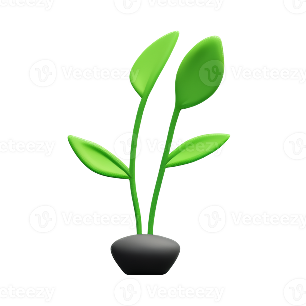 botanical 3d rendering icon illustration png
