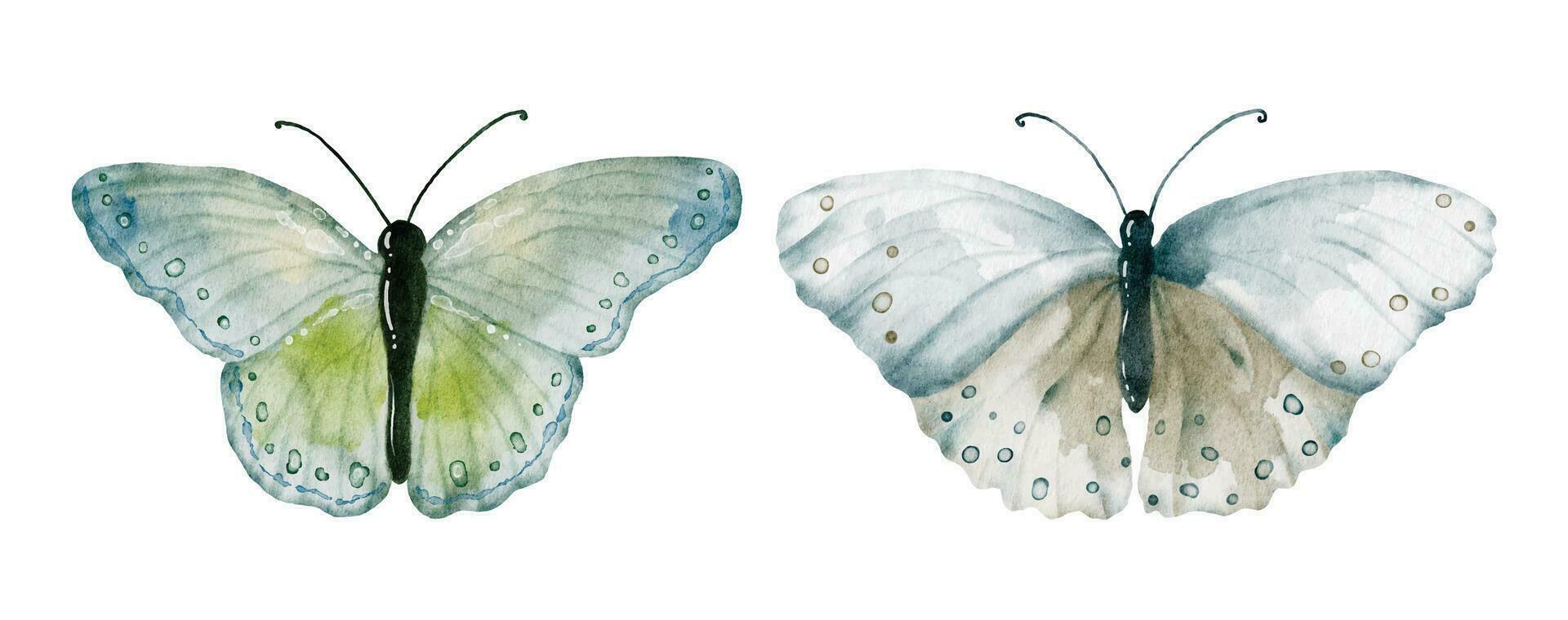 Watercolor green earth tones butterflies collection vector