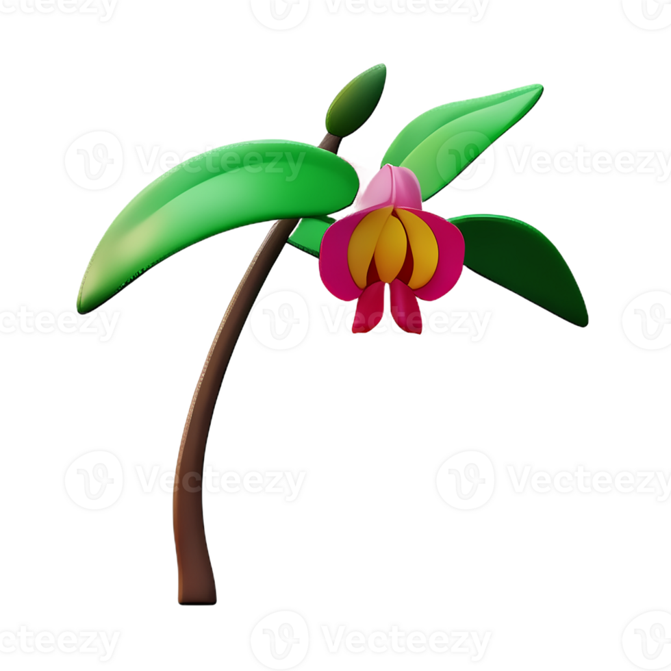 orchid 3d rendering icon illustration png