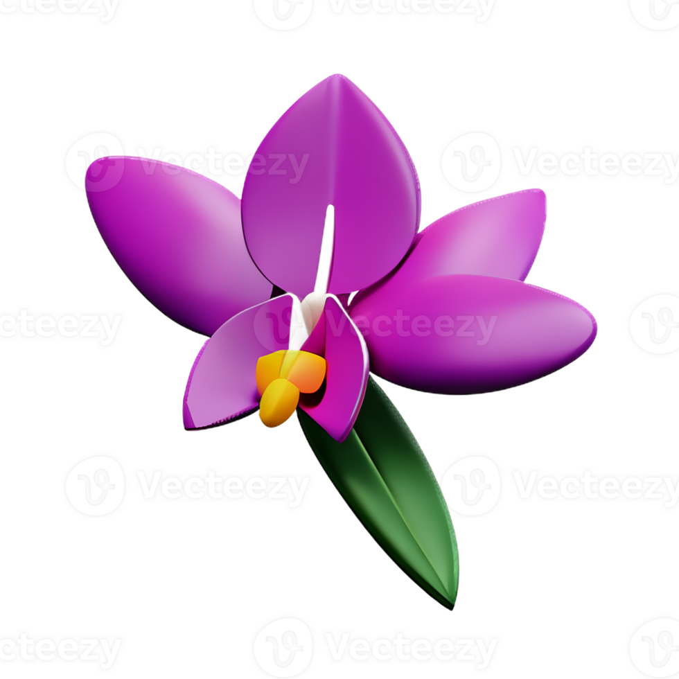 orchid 3d rendering icon illustration png