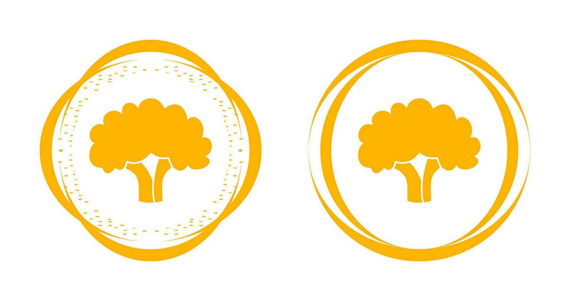 Cauliflower Vector Icon