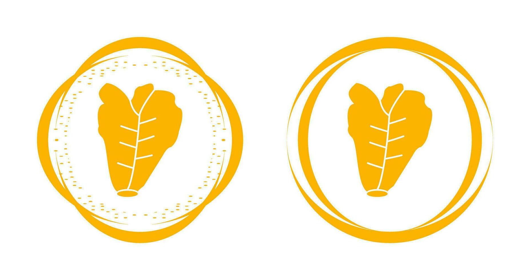 Lettuce Vector Icon