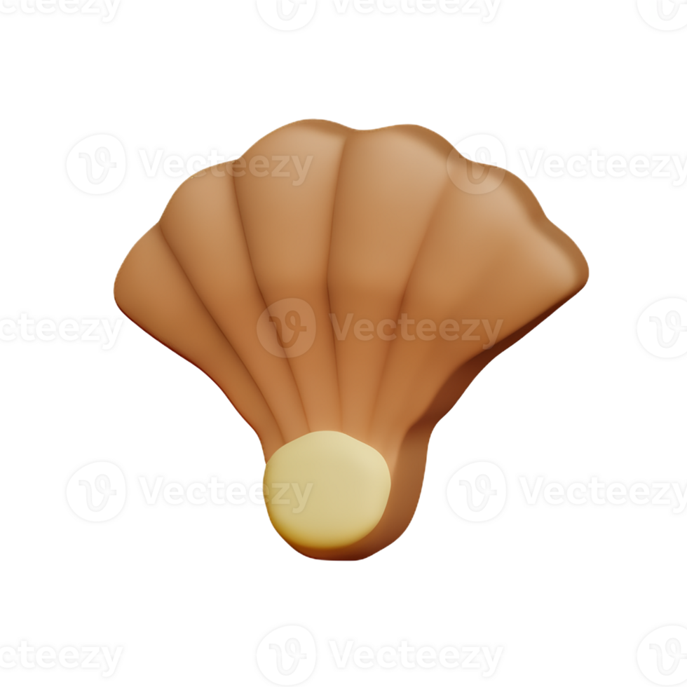shell 3d rendering icon illustration png