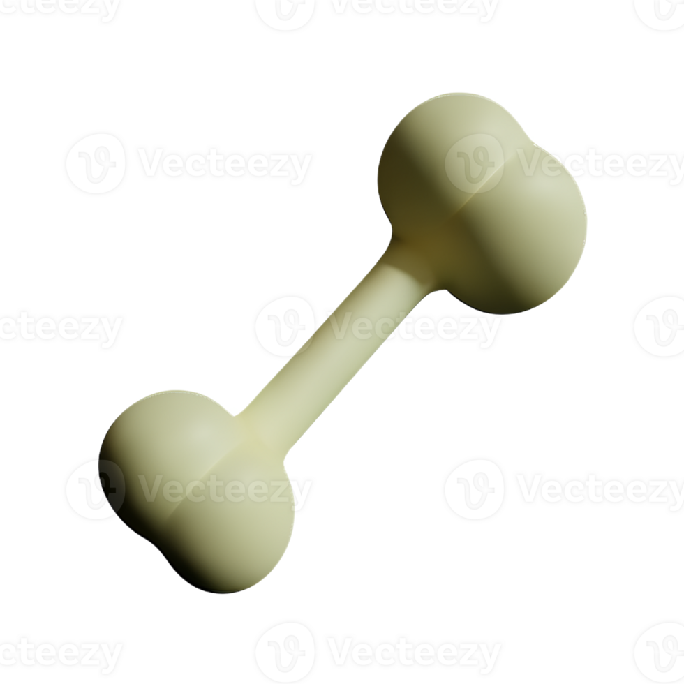 bone  3d rendering icon illustration png