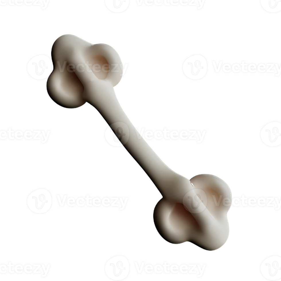 bone  3d rendering icon illustration png