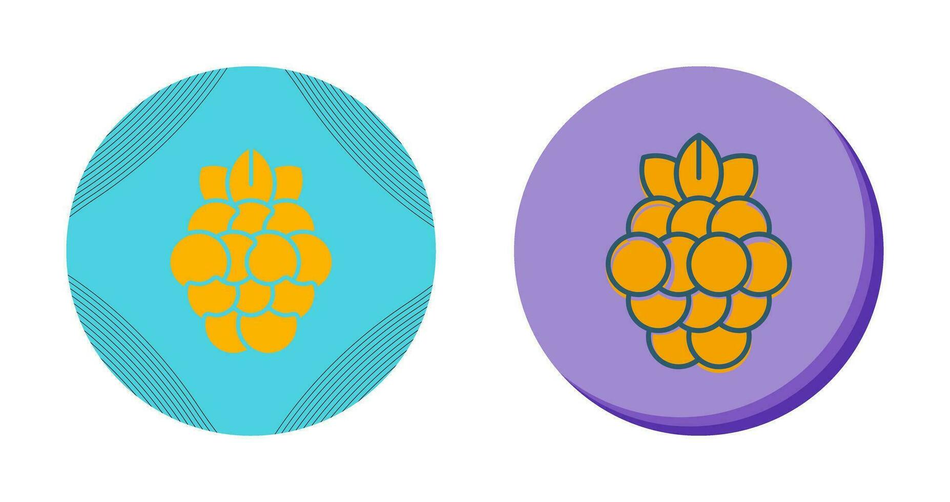 Raspberry Vector Icon