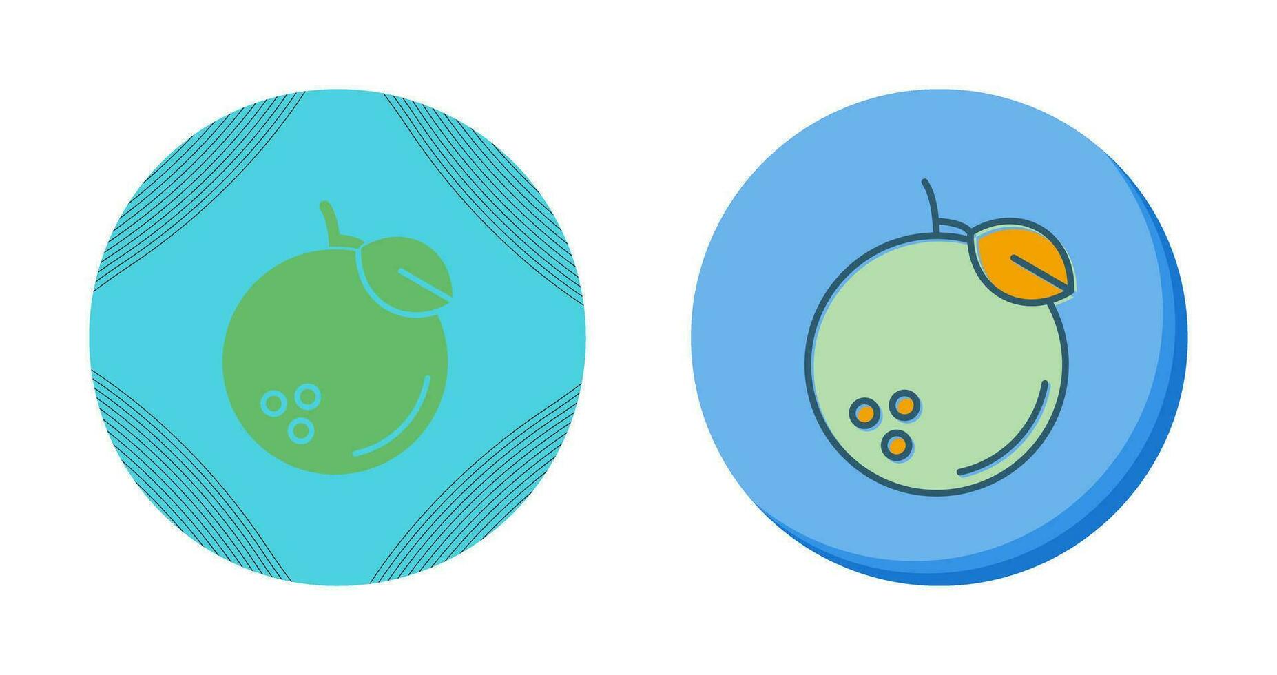 Orange Vector Icon