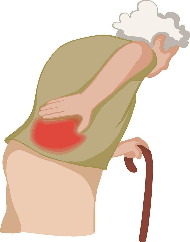 Elderly woman who has back pain while walking spinal disease and osteoporosis. vector illustration.