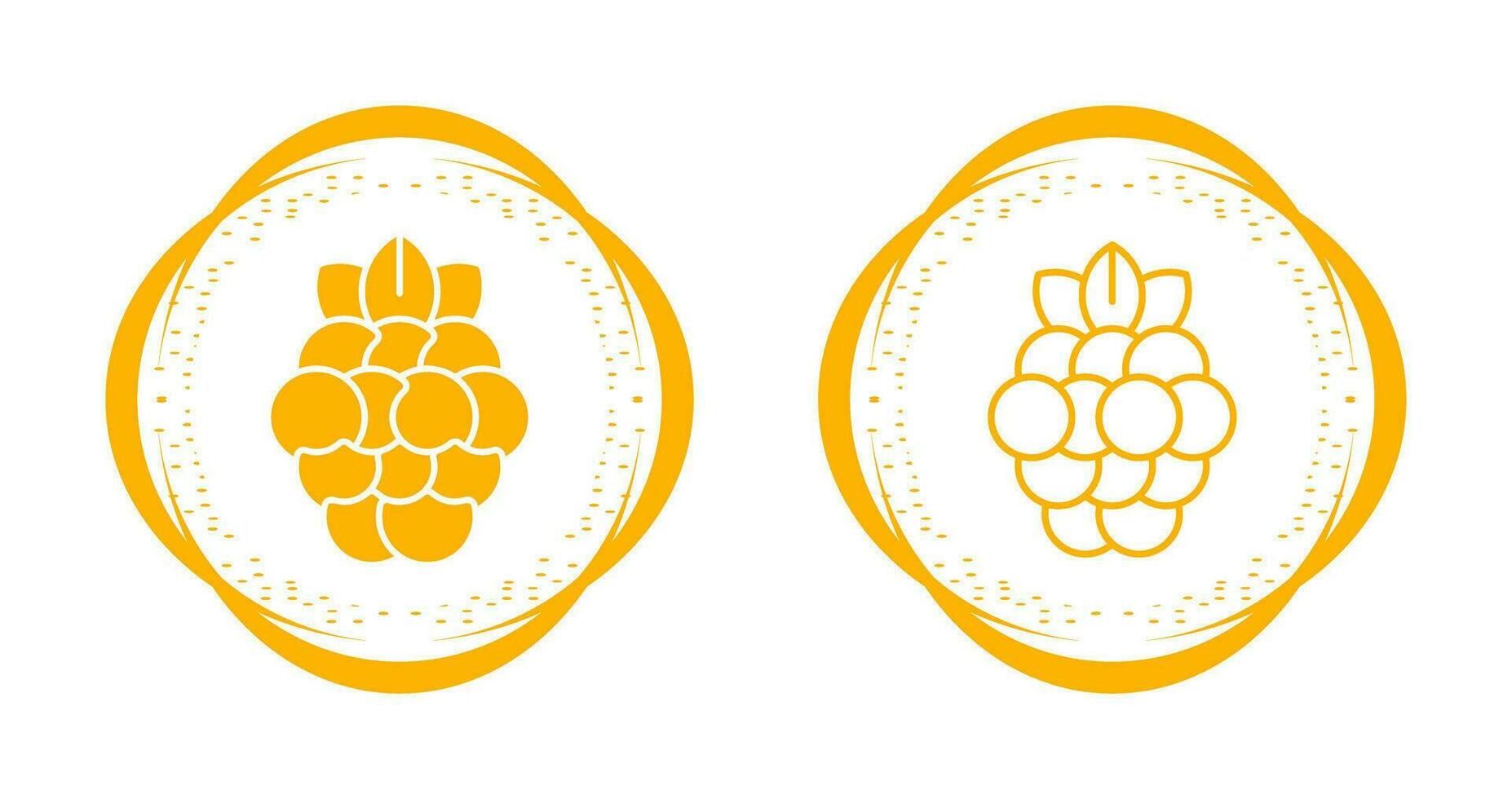 Raspberry Vector Icon