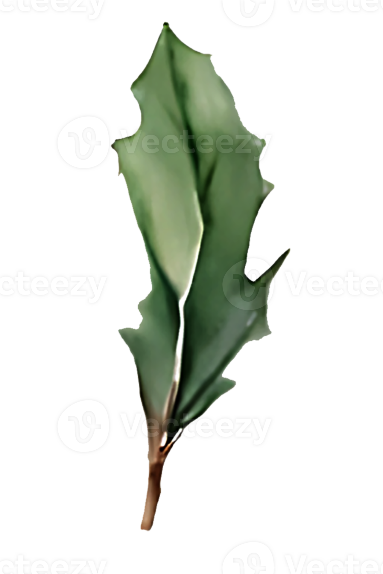 The Ultimate Guide To X: By Holly (@Itshollyday) - ihet72e