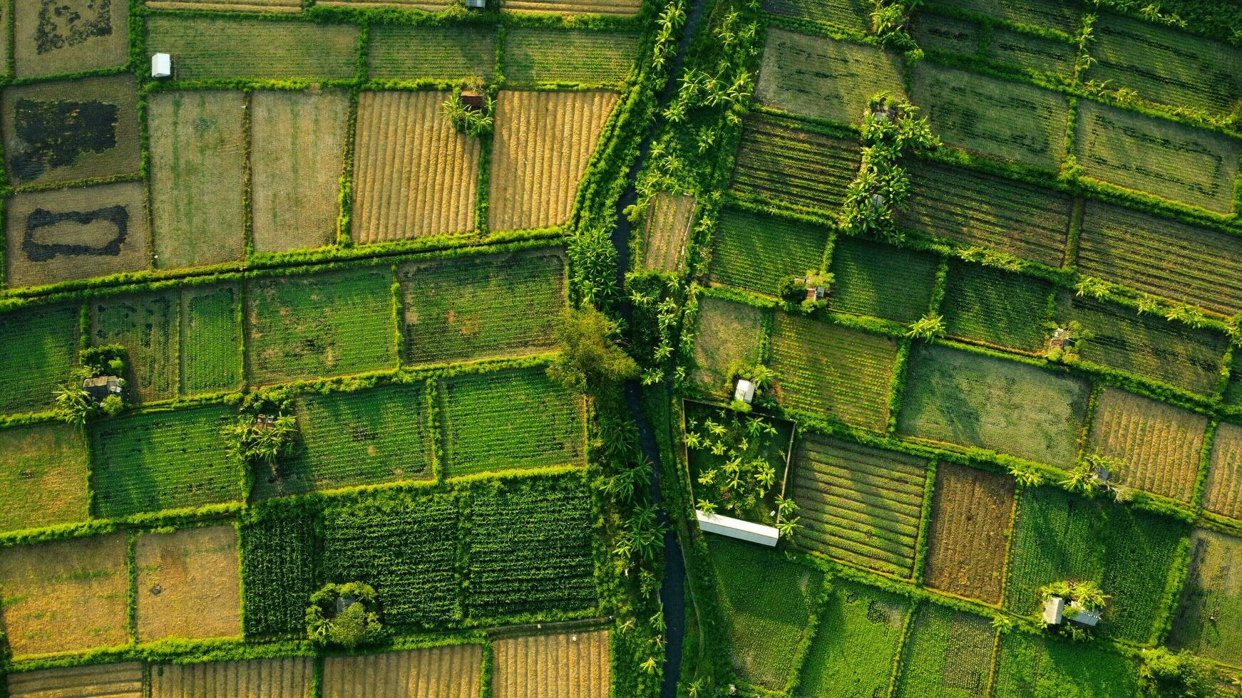 Farm Landscape Drone View Wallpaper photo