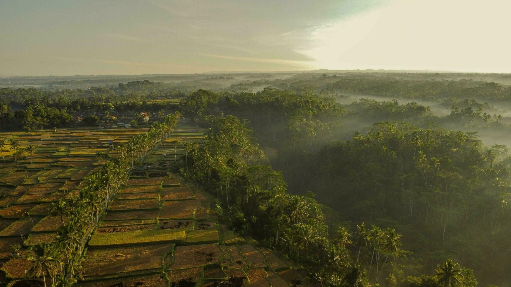 Bali Magical Morning Light Aerial View photo