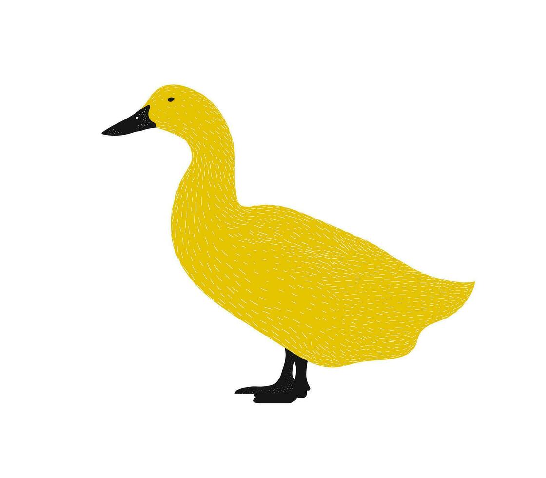 Pato ilustración silueta. aislado negro y amarillo animal ilustración. vector ilustración. línea Arte dibujo, moderno diseño. granja elemento.