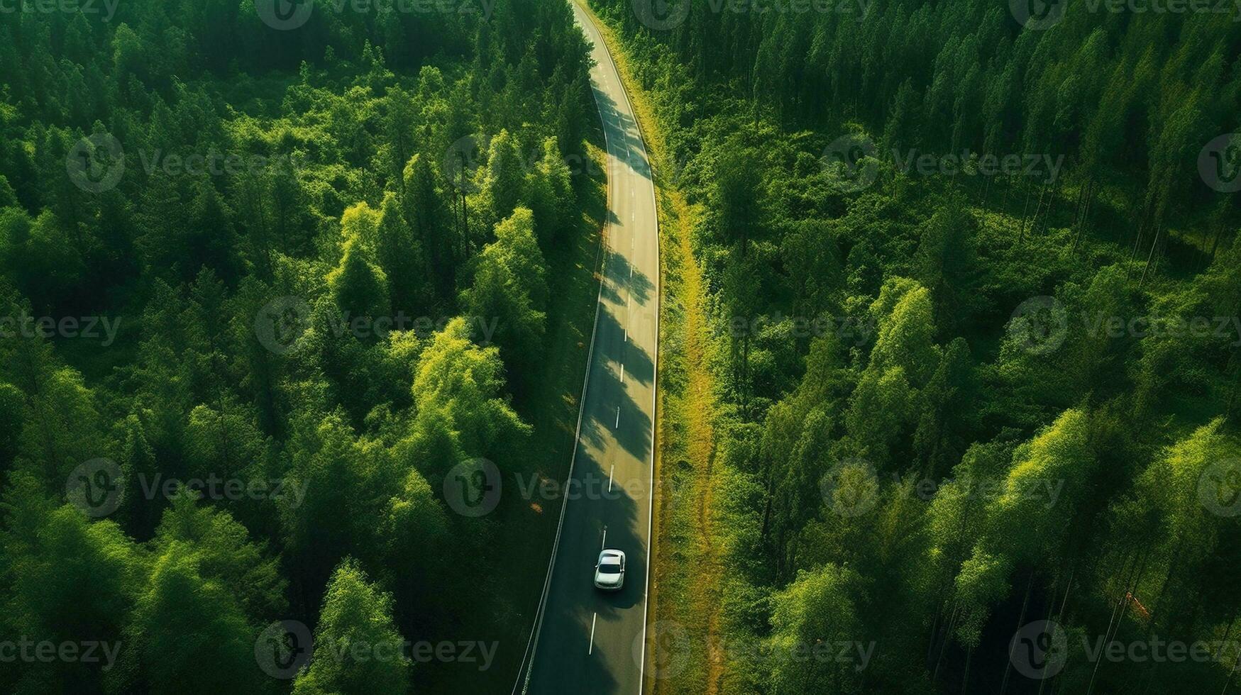 generativo ai, aéreo ver de la carretera Entre verde bosque, verde paisaje foto