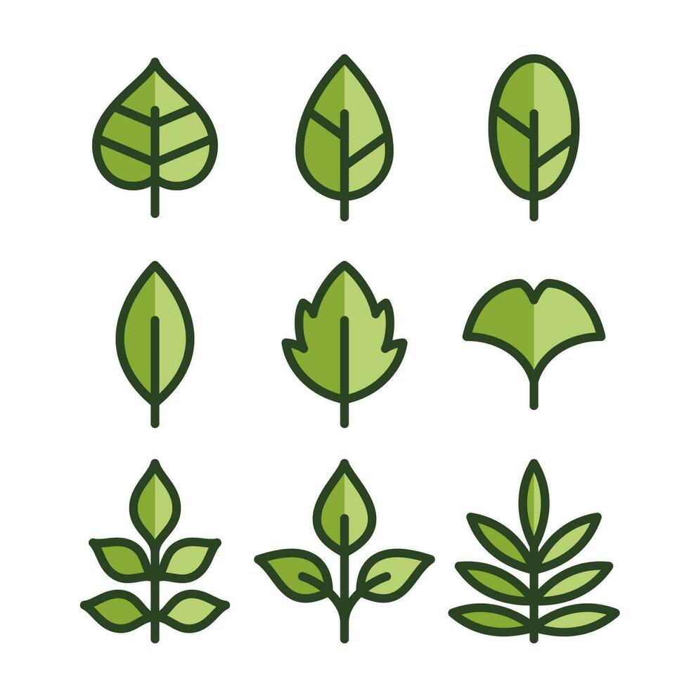 Leaves Outline Color Icon vector