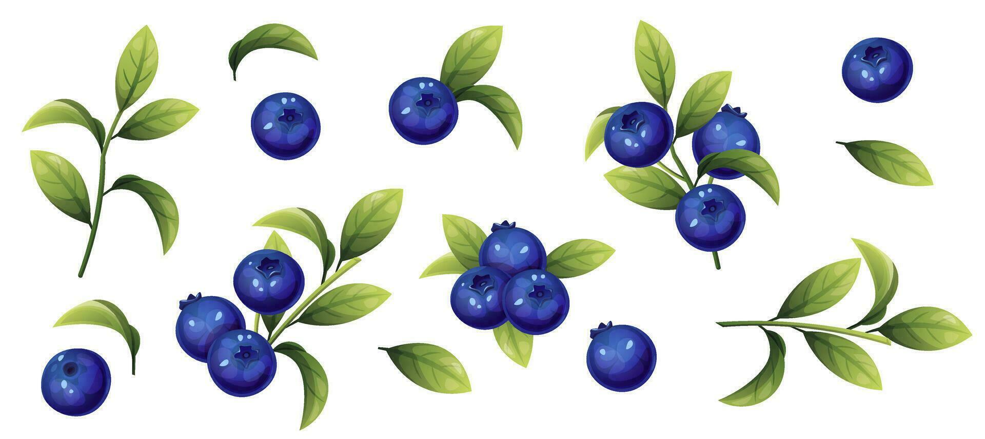 set of blueberries on a white isolated background. Sprigs of forest blueberries. Berries and leaves for decor, stickers, prints, badges. vector