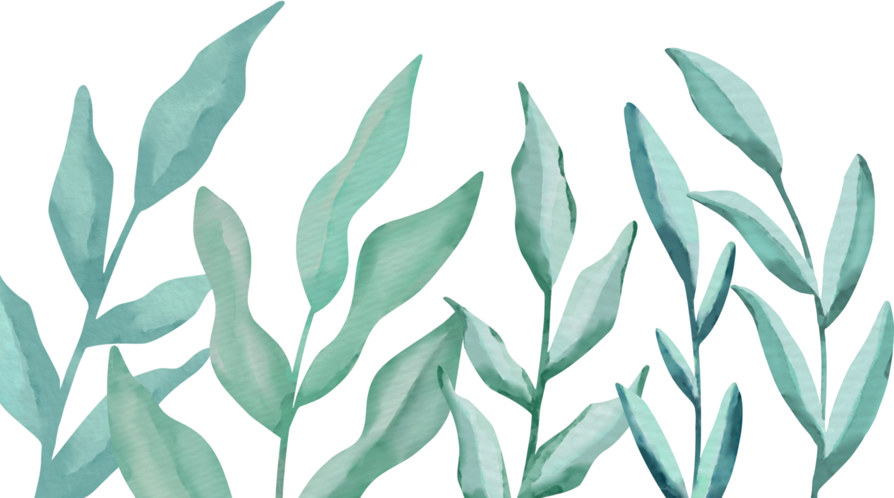 Green leaves decorative border png