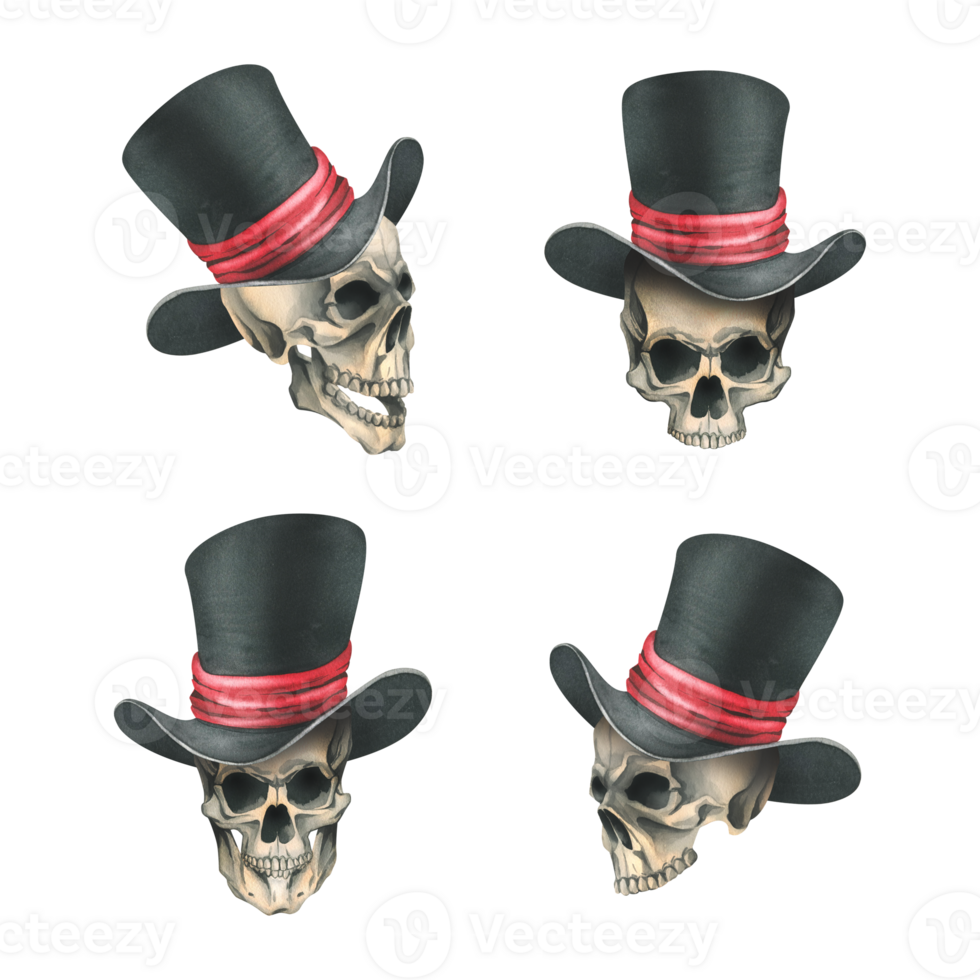 A human skulls in a black top hat with a red ribbon different views. Hand drawn watercolor illustration for day of the dead, halloween, Dia de los muertos. Isolated object png