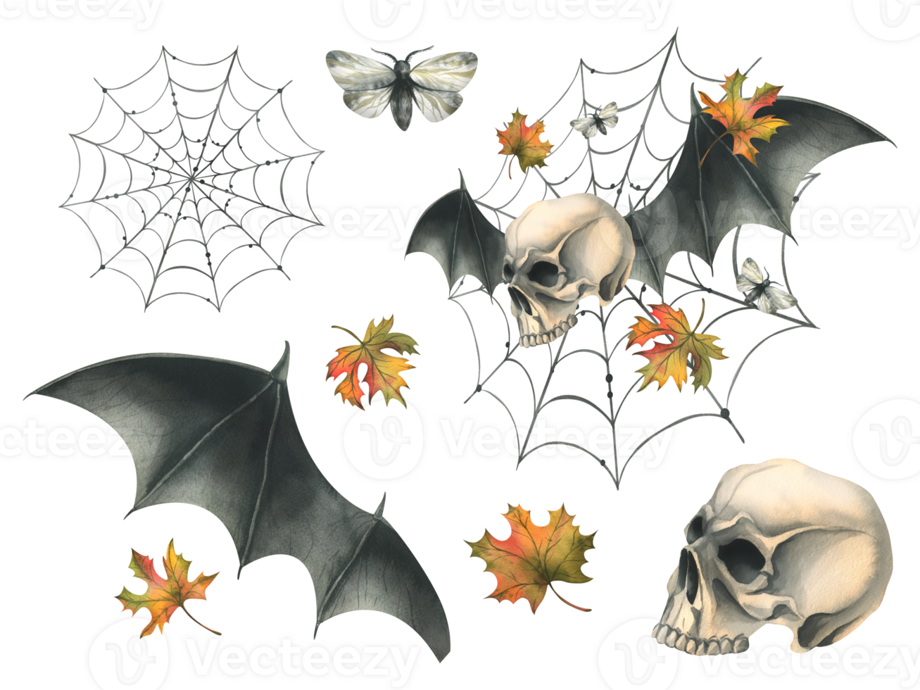 Human skull flying with bat wings, night moths, cobweb and autumn maple leaves. Hand drawn watercolor illustration for Halloween. Set of isolated elements png