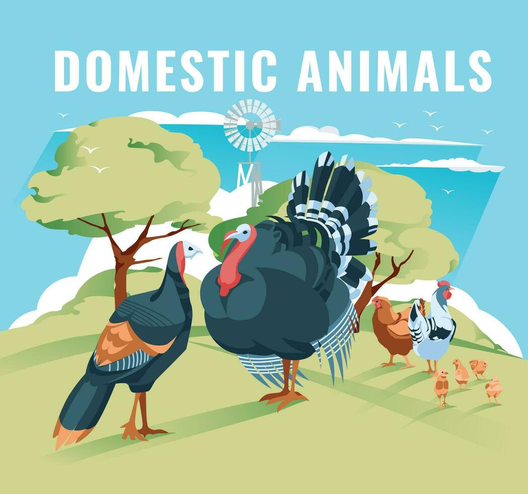 turkey and chicken family on a green meadow. Vector flat illustration. Agriculture, farming and cattle breeding