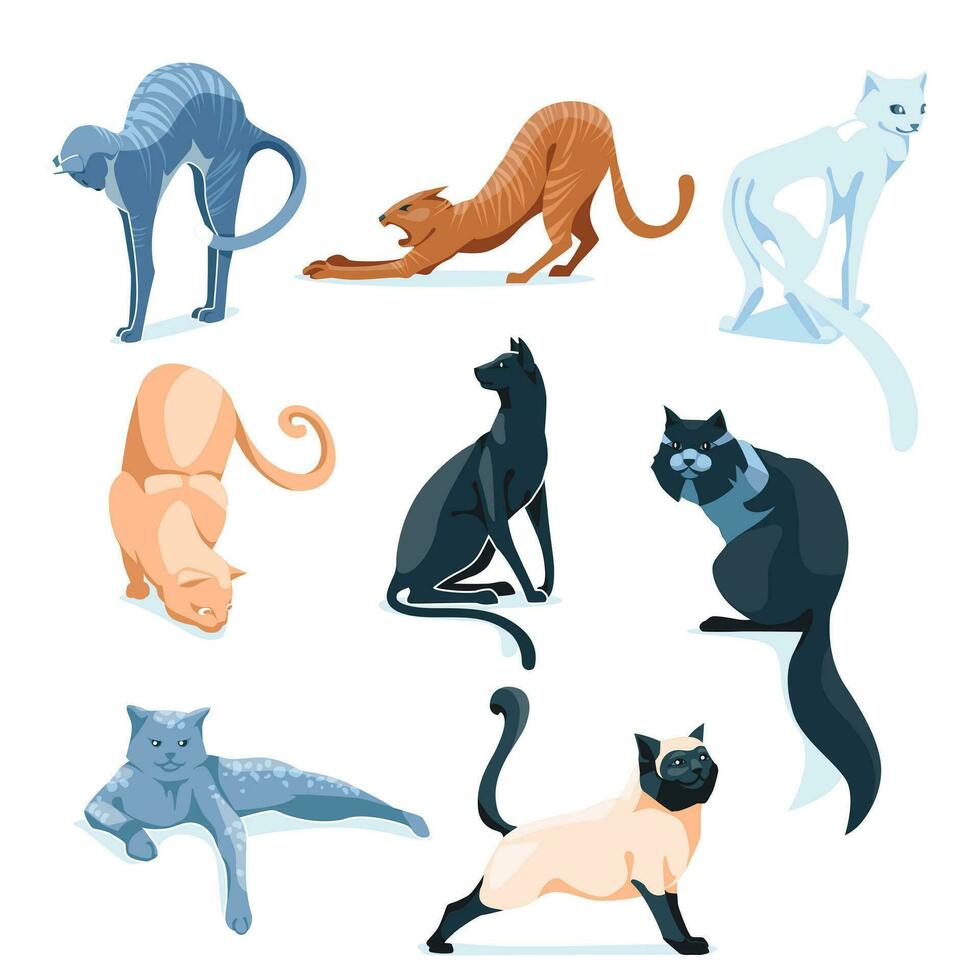 set of different cats. Breeding of pets, adoption, sale, grooming, veterinary service. Isolated on white background. Vector flat illustration