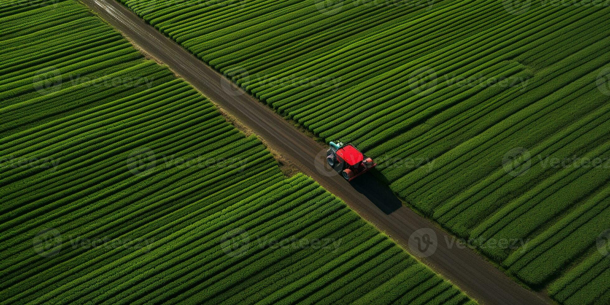 Generative AI, Farm colorful landscape, agricultural fields, beautiful countryside, country road. Nature Illustration, top view drone, horizontal banner. photo