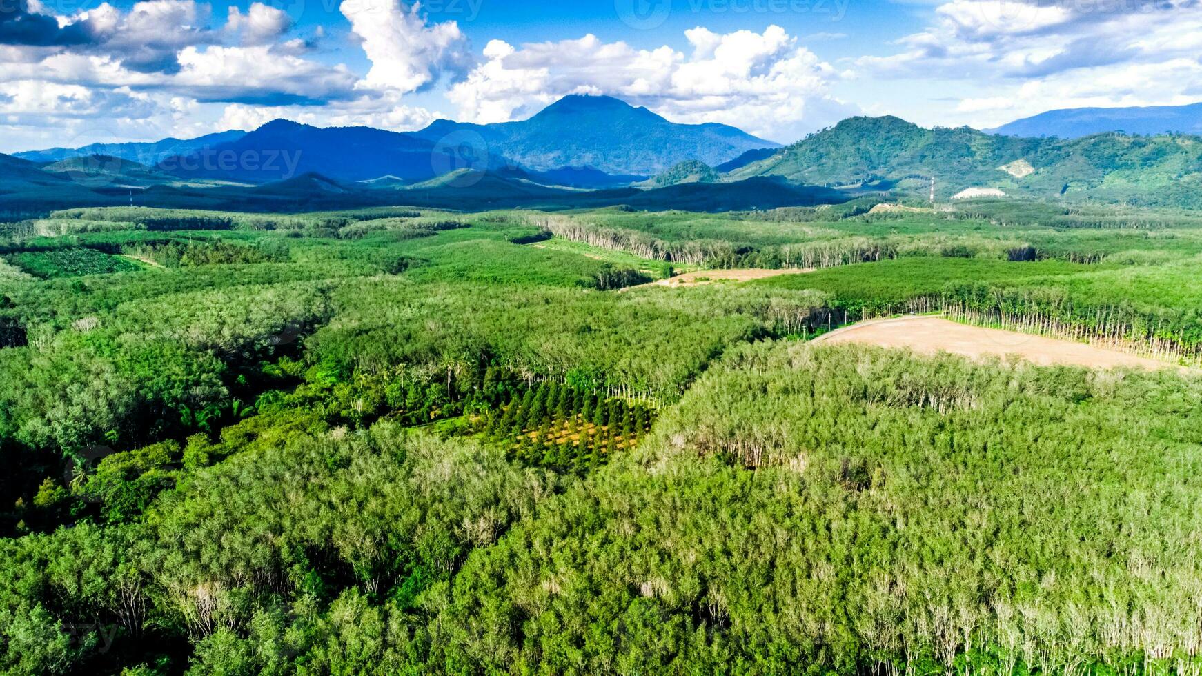 Aerial photographs of agricultural areas of Thailand. photo