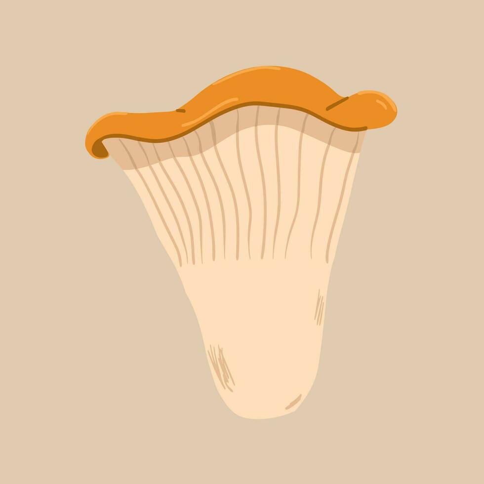 Chanterelle mushroom. Vector illustration in hand drawn style.