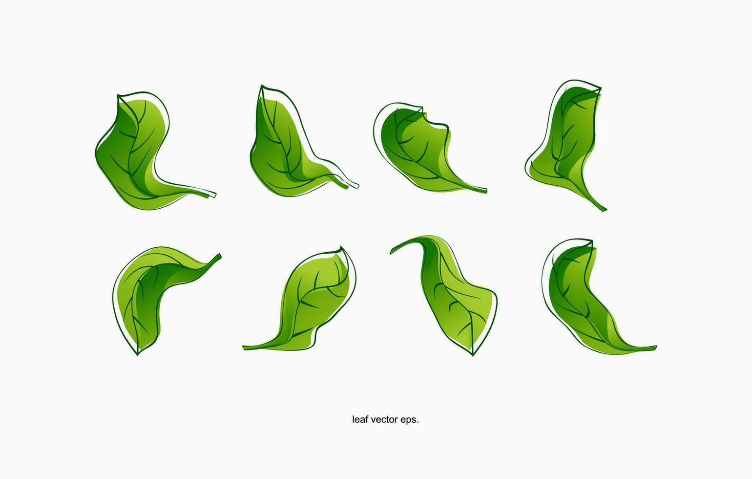 a set of green leaves on a white background vector
