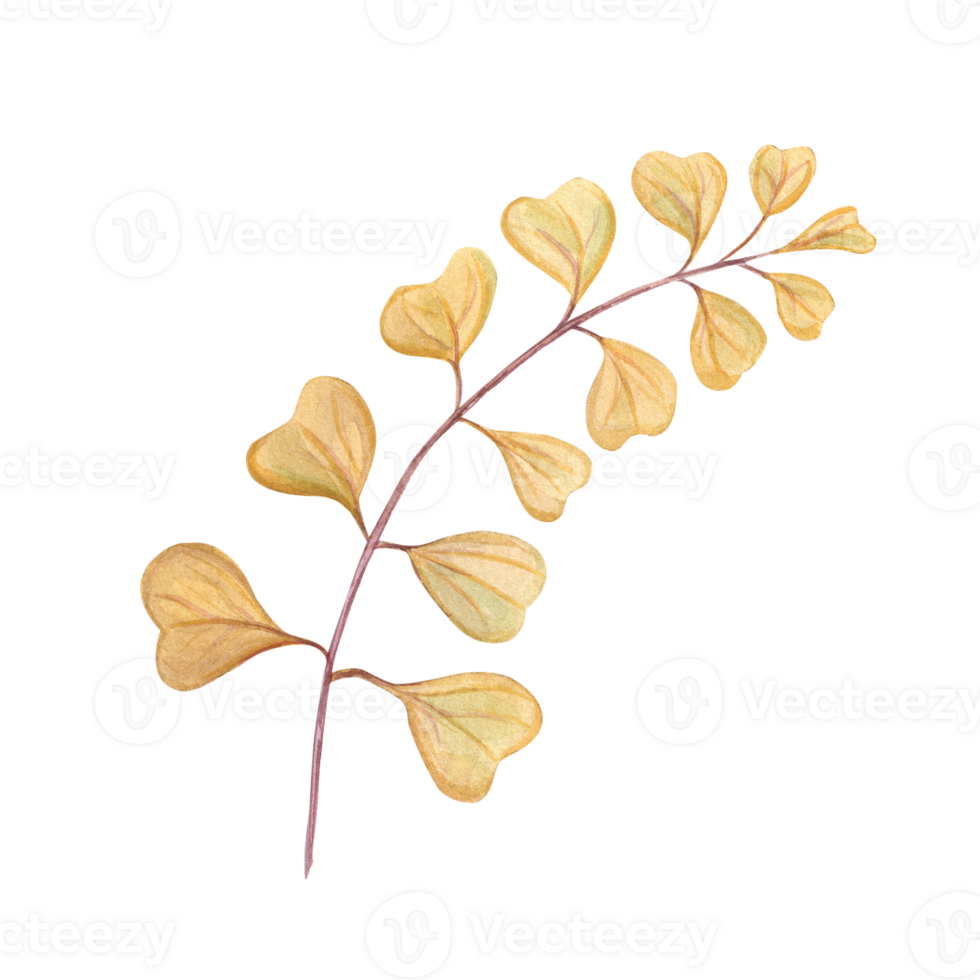 acquerello astratto autunno ramo. giallo cuore sagomato le foglie per mazzo decorazione. mano disegnato illustrazione per sfondo, Stampa, bandiera disegno, cartoline, modello png