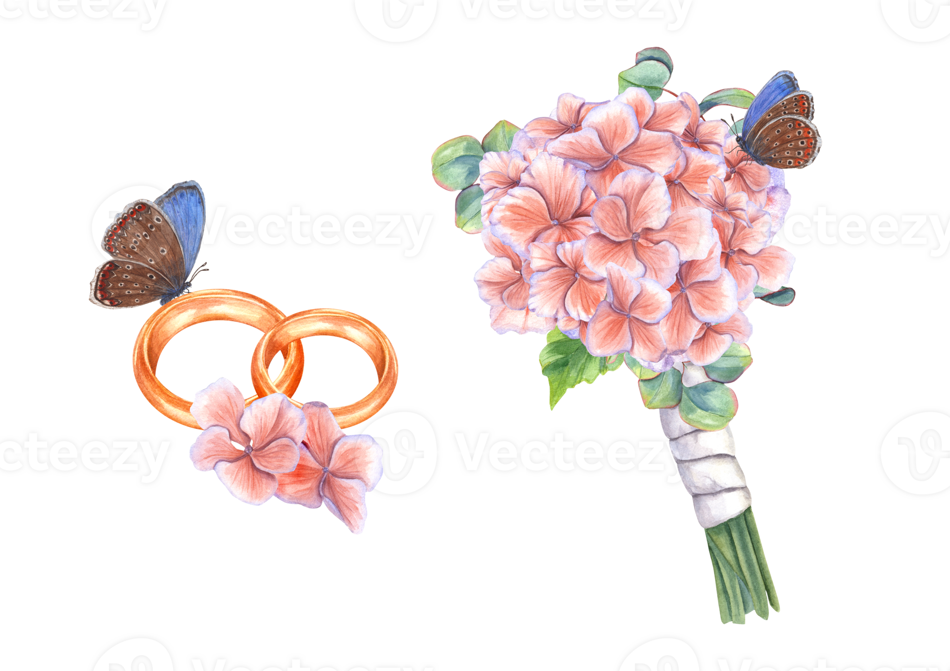 Bridal bouquet of hydrangea with white satin ribbon, gold wedding rings