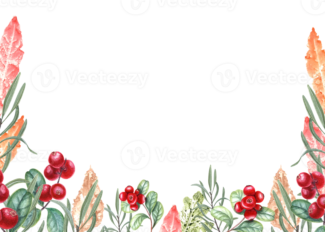 Bright red cranberries and imprints of autumn colorful leaves of different trees. Cowberry, huckleberry, lingonberry, imprint, whortleberry. Horizontal watercolor frame with copy space for text png