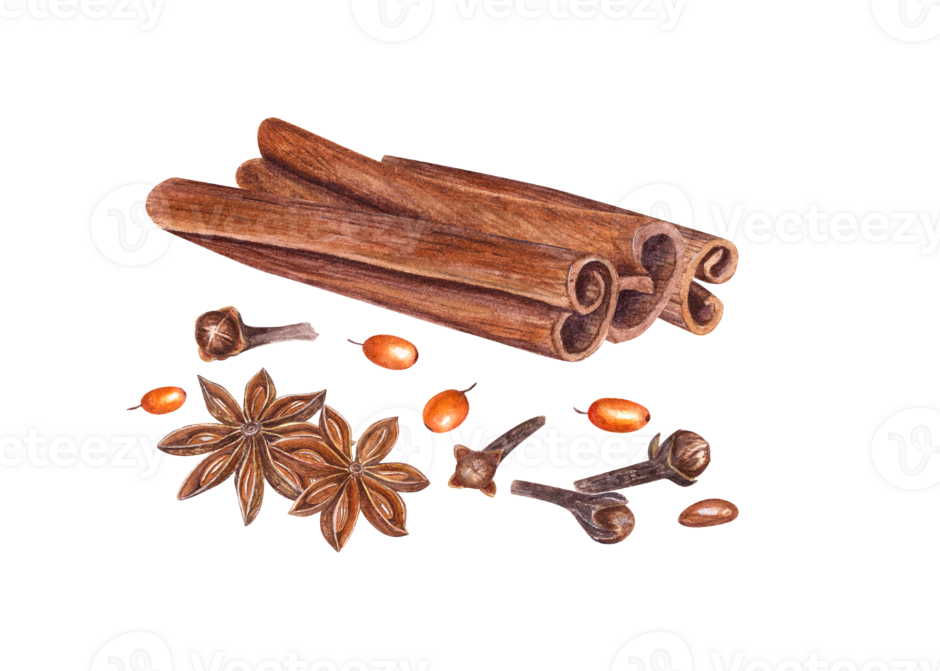kanel pinnar, hav brakved, kryddnejlika, stjärna anis. vattenfärg botanisk illustration för de design av inbjudan, kort, reklam affischer, etiketter png