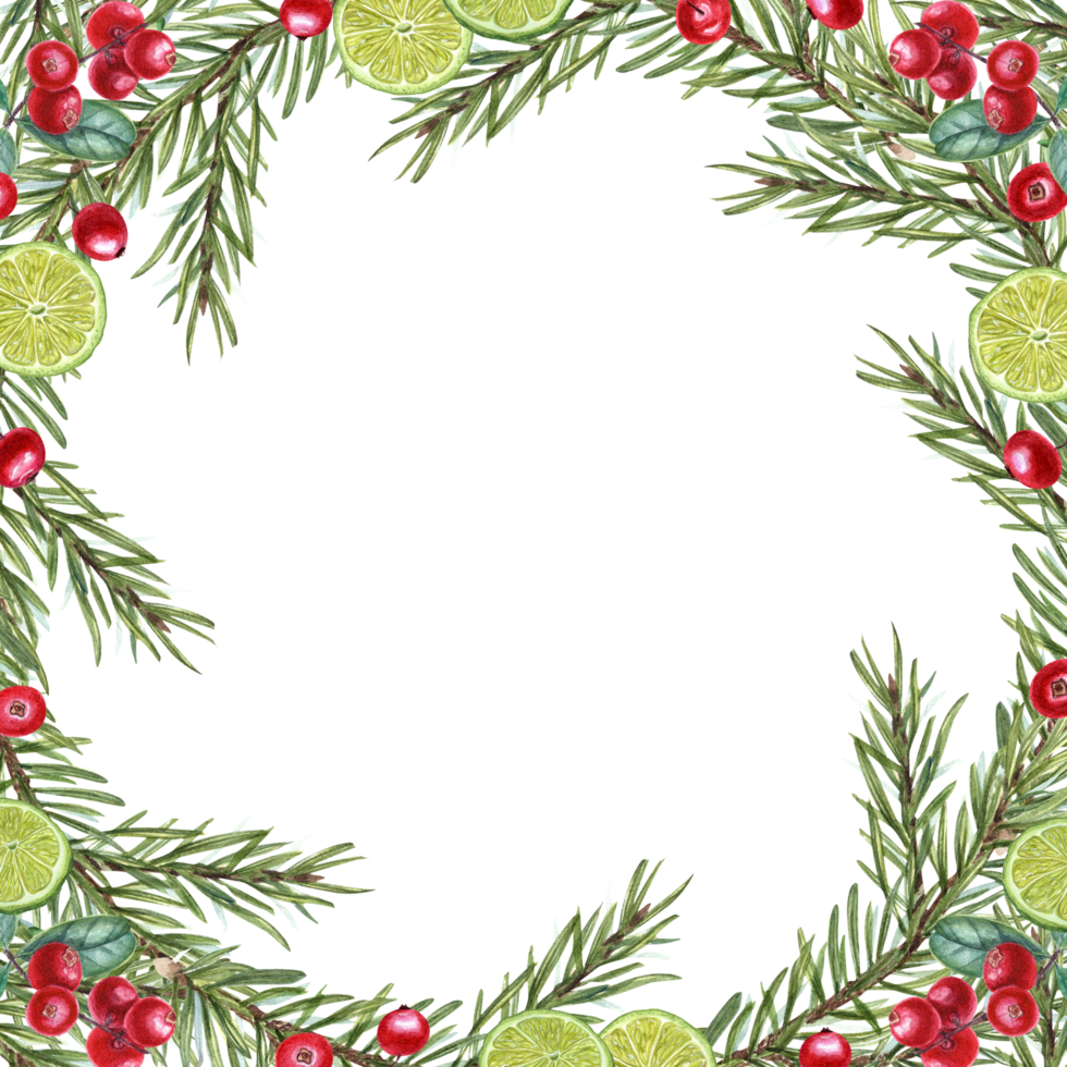 Xmas frame of fir branch, lime slices, cranberry. Watercolor illustration for invitation, greetings, Christmas and New Year cards. With copy space for text png