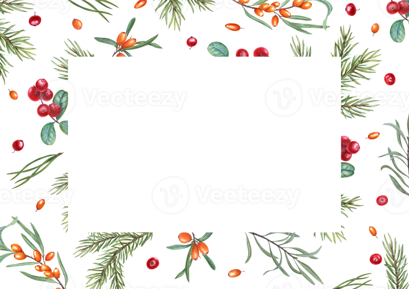 Rectangular frame of cowberries, sea buckthorn, spruce branch. Autumn ripe berries. Illustration for postcard design, invitation, greeting. Space for text. png