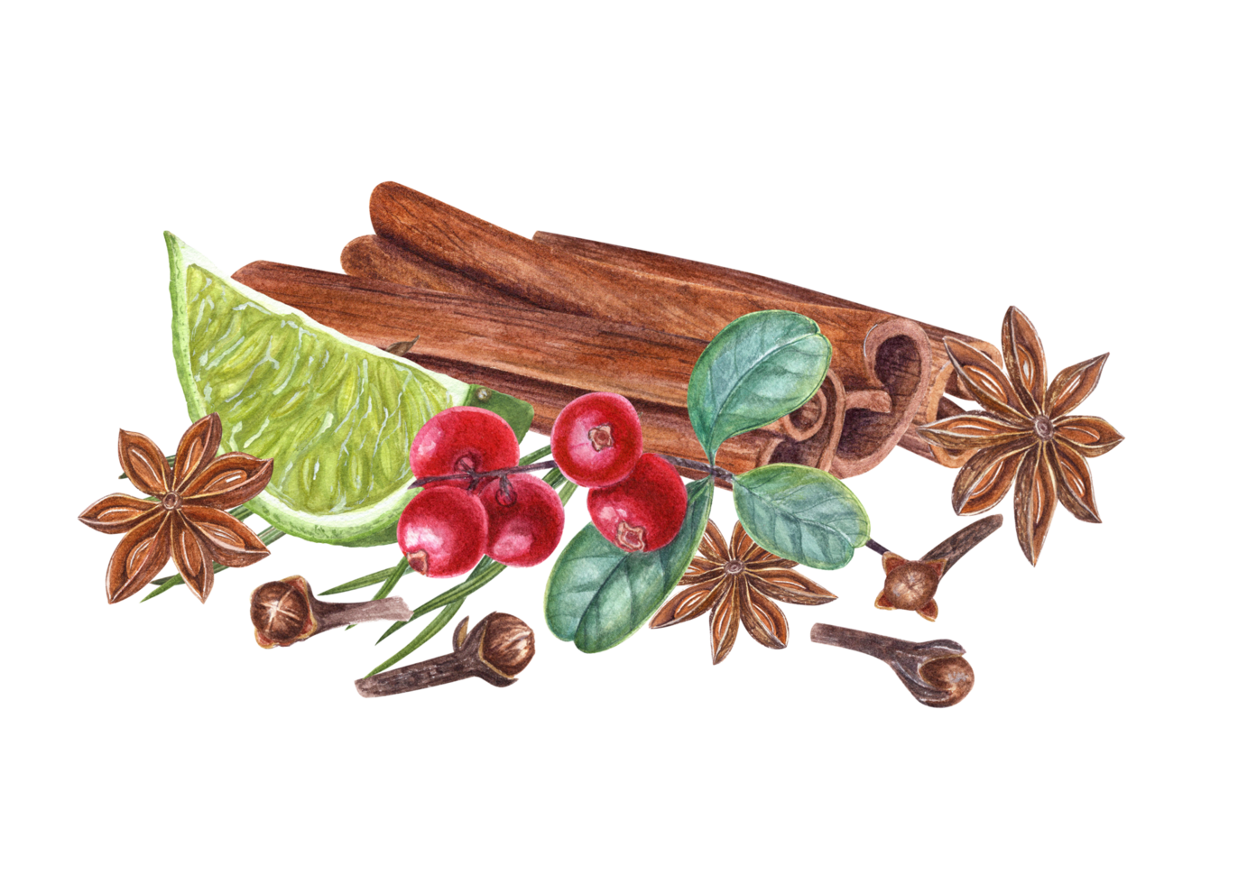Cinnamon sticks, red huckleberry, line slice, pine needles, cloves, star anise. Watercolor botanical illustration for the design of cards, package design, labels png