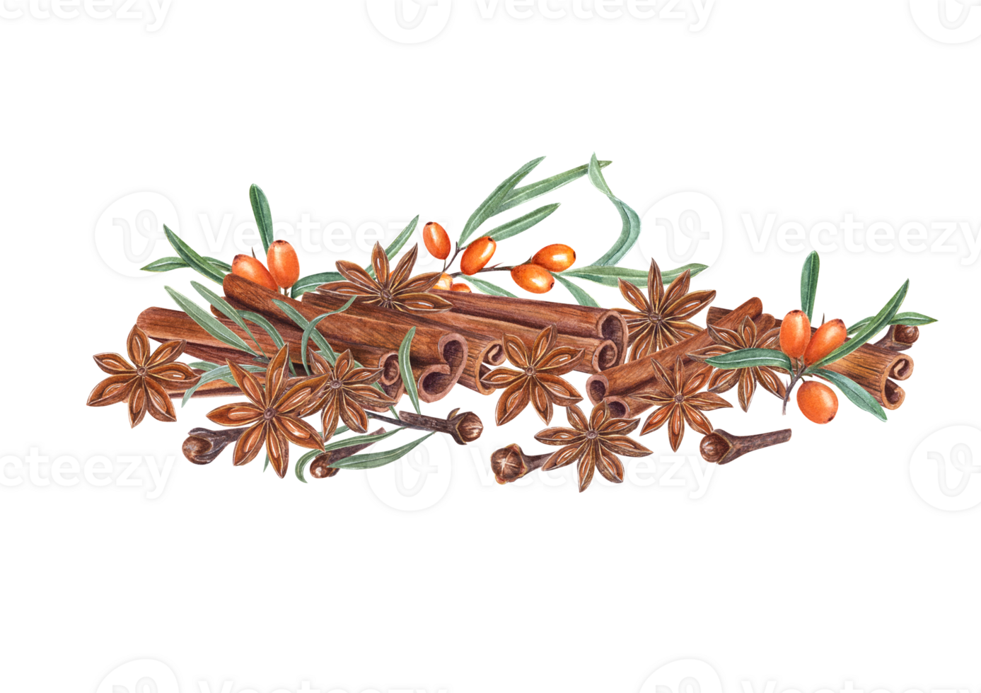 Watercolor composition of cinnamons, star anise, cloves, sea buckthorn. Illustration for the design of invitation, cards, package design, advertising posters, labels png